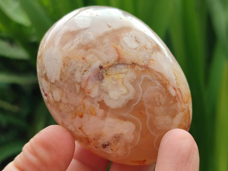 Polished Flower Agate Palm Stones x 12 From Antsahalova, Madagascar