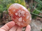 Polished Flower Agate Palm Stones x 12 From Antsahalova, Madagascar