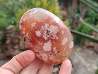 Polished Flower Agate Palm Stones x 12 From Antsahalova, Madagascar