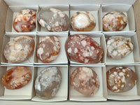 Polished Flower Agate Palm Stones x 12 From Antsahalova, Madagascar