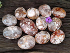 Polished Flower Agate Palm Stones x 12 From Antsahalova, Madagascar