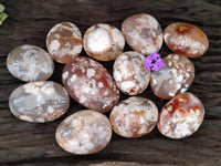 Polished Flower Agate Palm Stones x 12 From Antsahalova, Madagascar