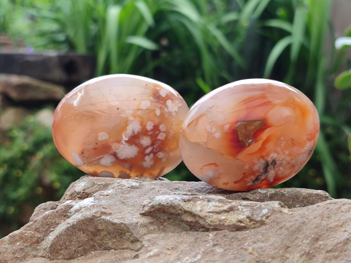 Polished Flower Agate Palm Stones x 12 From Antsahalova, Madagascar