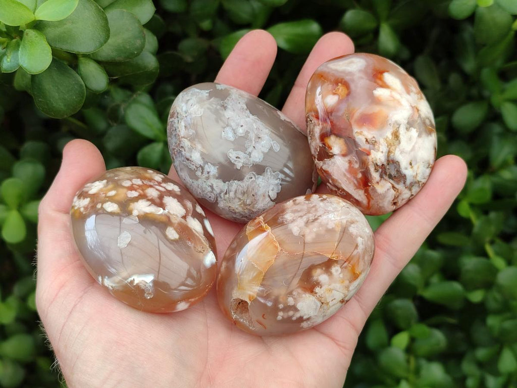 Polished Flower Agate Palm Stones x 12 From Antsahalova, Madagascar