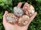 Polished Flower Agate Palm Stones x 12 From Antsahalova, Madagascar