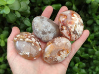 Polished Flower Agate Palm Stones x 12 From Antsahalova, Madagascar