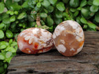 Polished Flower Agate Palm Stones x 12 From Antsahalova, Madagascar