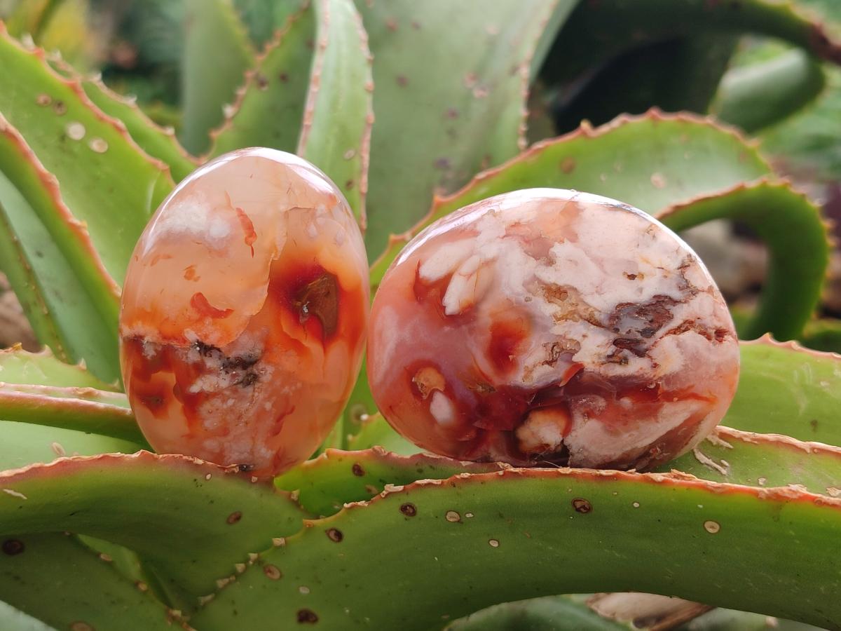 Polished Flower Agate Palm Stones x 12 From Antsahalova, Madagascar