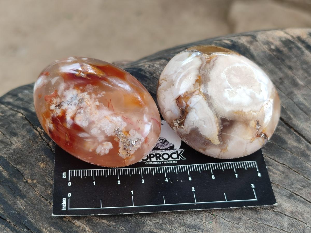 Polished Flower Agate Palm Stones x 12 From Antsahalova, Madagascar