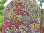 Polished Bastite Dragonsblood Stone Display Crystal x 3 From Tshipise, South Africa