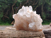 Natural Clear Cascading Quartz Crystal Clusters x 5 From Madagascar