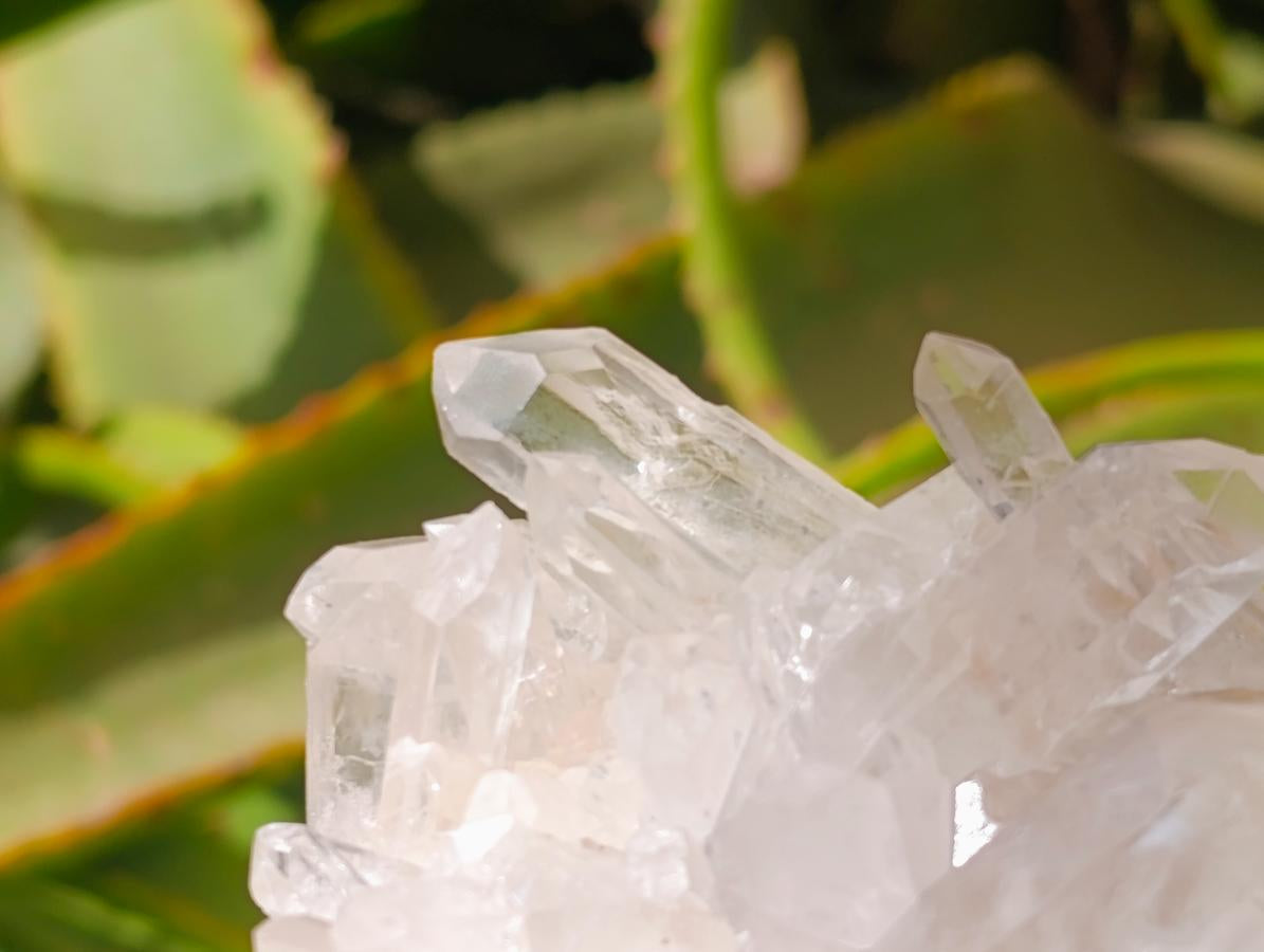 Natural Clear Quartz Crystal Clusters x 12 From Madagascar