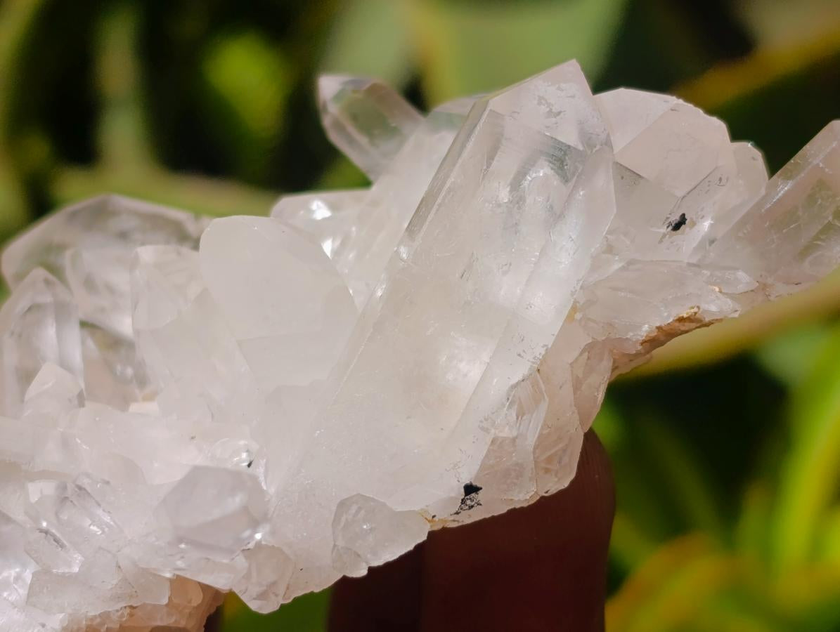 Natural Clear Quartz Crystal Clusters x 12 From Madagascar