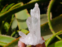 Natural Clear Quartz Crystal Clusters x 12 From Madagascar