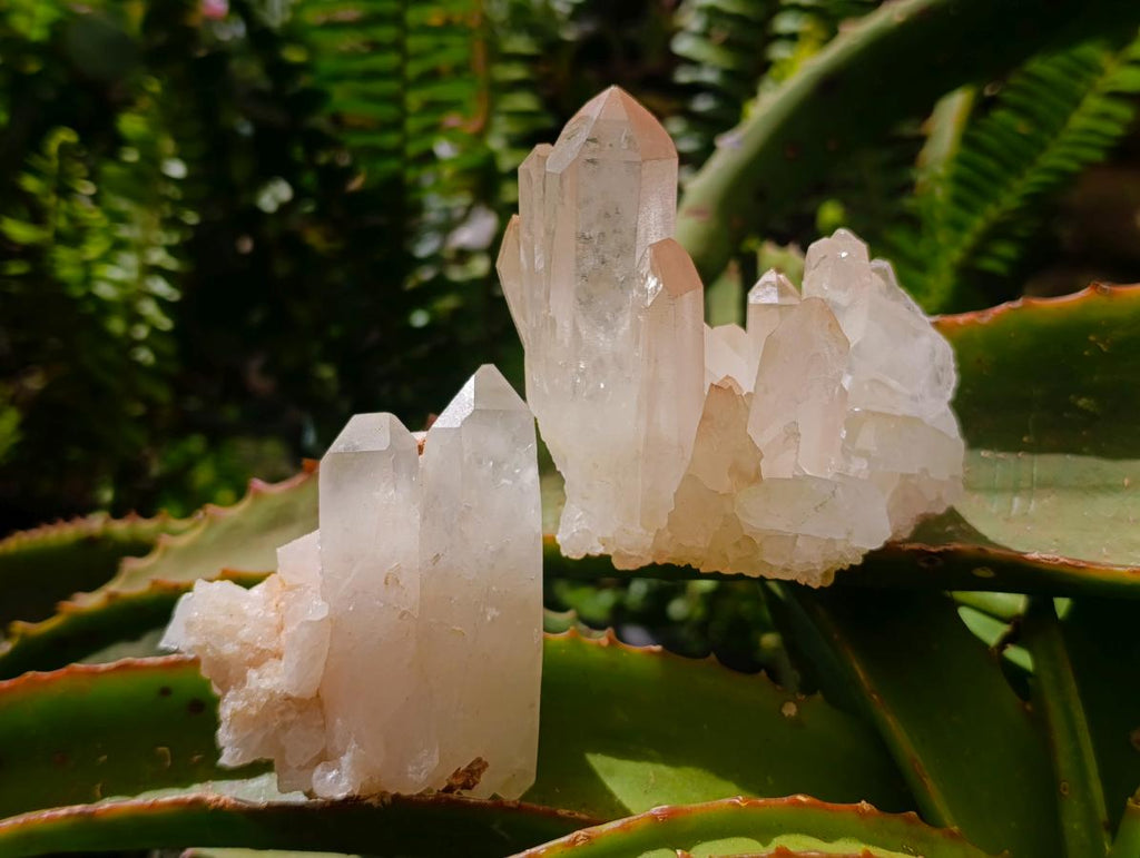 Natural Clear Quartz Crystal Clusters x 12 From Madagascar