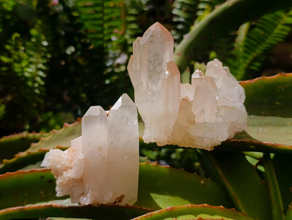 Natural Clear Quartz Crystal Clusters x 12 From Madagascar