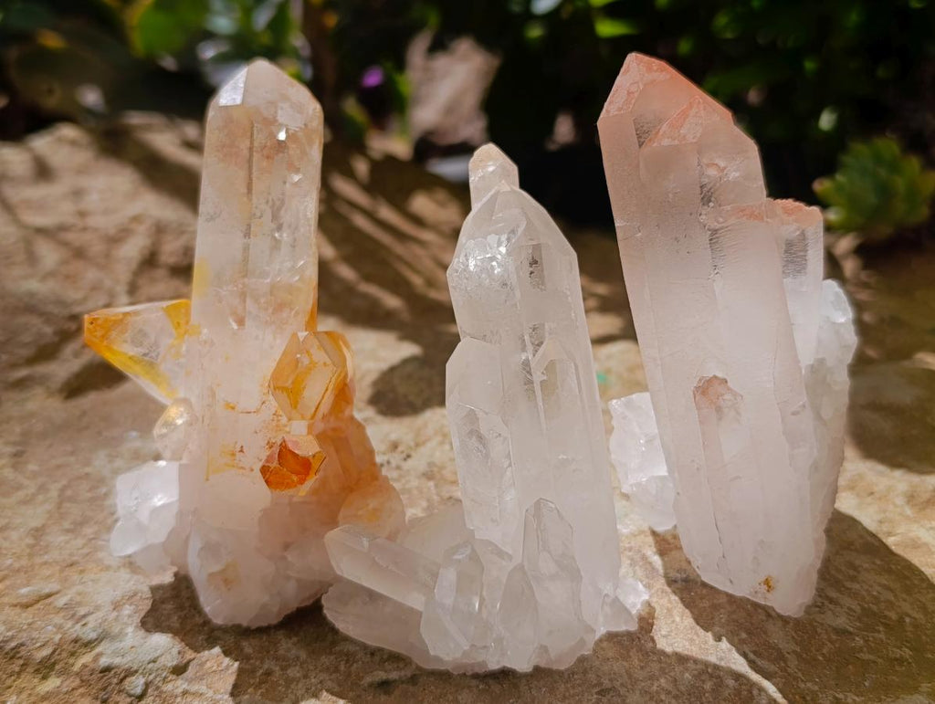 Natural Clear Quartz Crystal Clusters x 12 From Madagascar