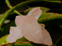Natural Clear Quartz Crystal Clusters x 12 From Madagascar