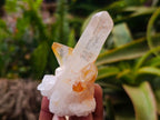 Natural Clear Quartz Crystal Clusters x 12 From Madagascar