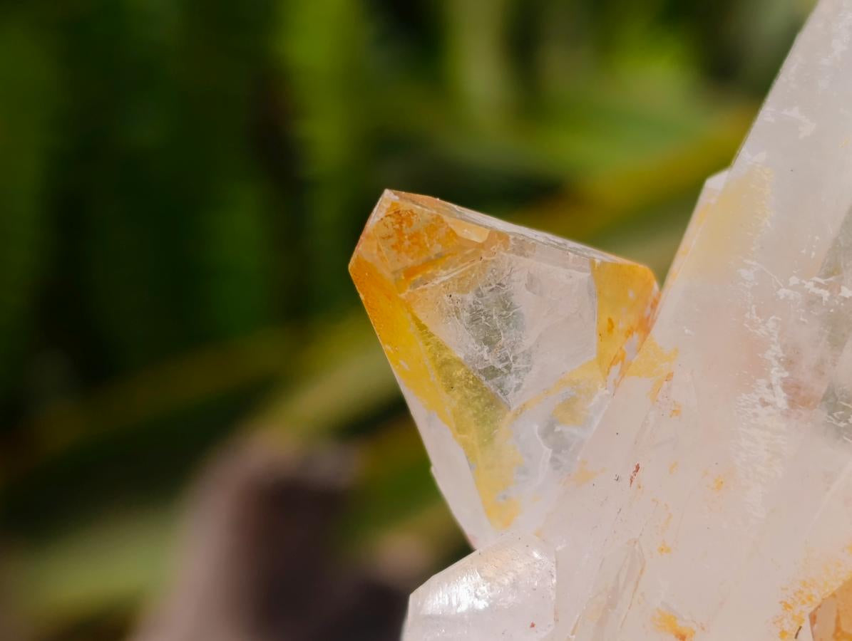 Natural Clear Quartz Crystal Clusters x 12 From Madagascar