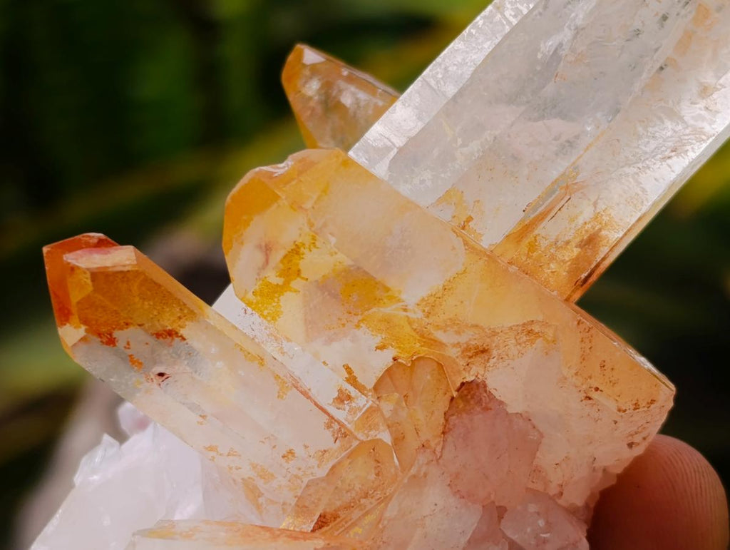 Natural Clear Quartz Crystal Clusters x 12 From Madagascar
