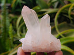 Natural Clear Quartz Crystal Clusters x 12 From Madagascar