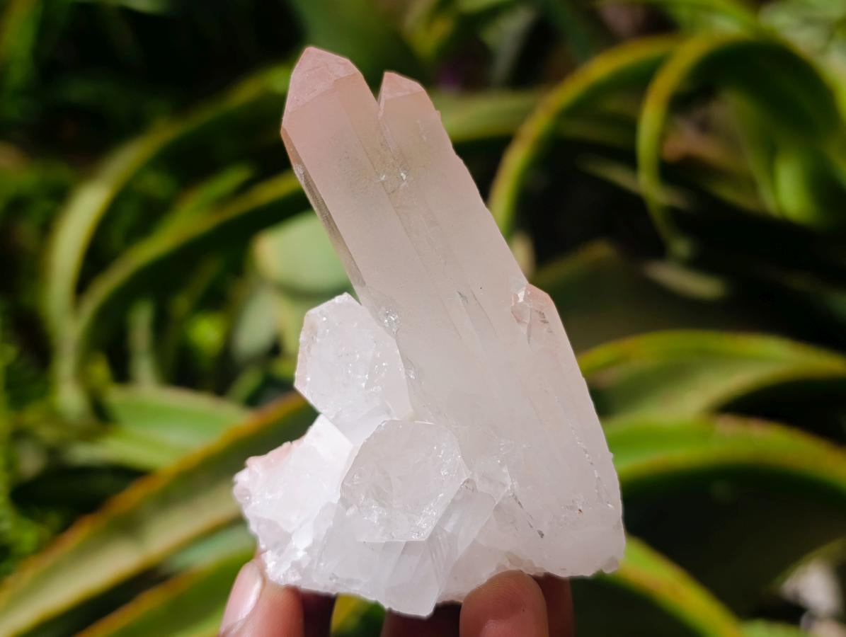 Natural Clear Quartz Crystal Clusters x 12 From Madagascar