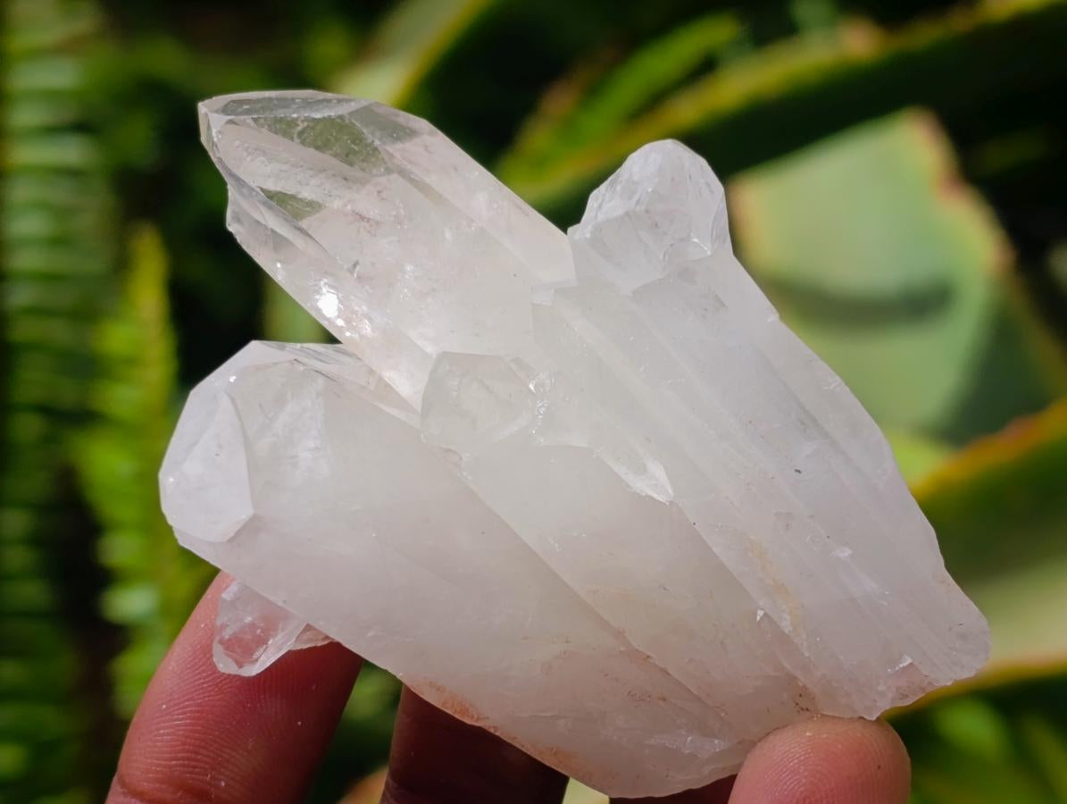 Natural Clear Quartz Crystal Clusters x 12 From Madagascar