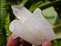 Natural Clear Quartz Crystal Clusters x 12 From Madagascar