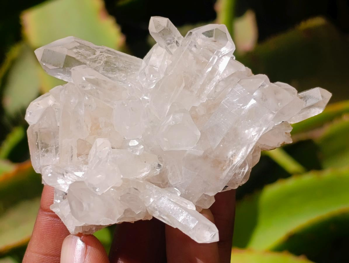 Natural Clear Quartz Crystal Clusters x 12 From Madagascar