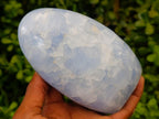 Polished Blue Calcite Standing Free Forms x 2 From Madagascar - Toprock Gemstones and Minerals 