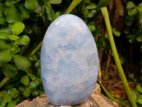 Polished Blue Calcite Standing Free Forms x 2 From Madagascar