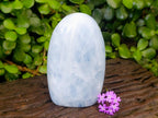 Polished Blue Calcite Standing Free Forms x 2 From Madagascar - Toprock Gemstones and Minerals 