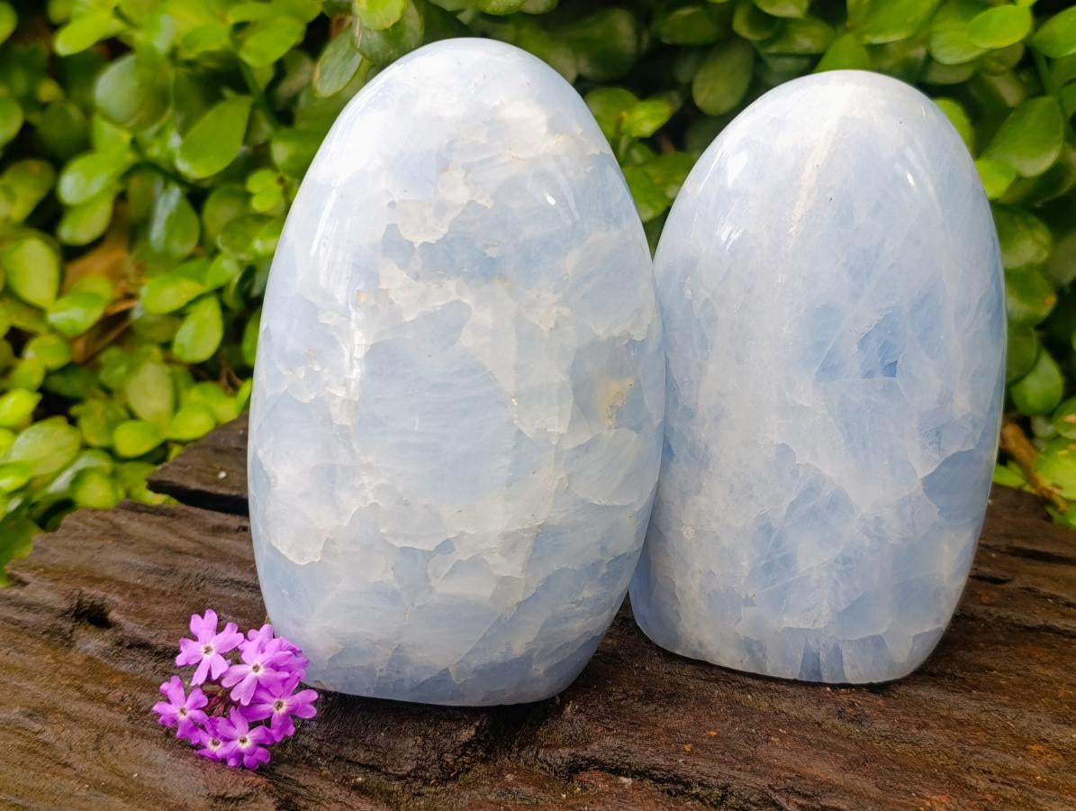Polished Blue Calcite Standing Free Forms x 2 From Madagascar - Toprock Gemstones and Minerals 