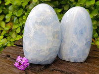 Polished Blue Calcite Standing Free Forms x 2 From Madagascar