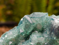 Natural Green Fluorite Cluster Specimens x 2 From Mandrosonoro, Madagascar