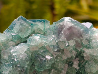 Natural Green Fluorite Cluster Specimens x 2 From Mandrosonoro, Madagascar