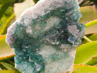 Natural Green Fluorite Cluster Specimens x 2 From Mandrosonoro, Madagascar