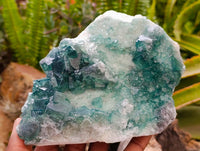 Natural Green Fluorite Cluster Specimens x 2 From Mandrosonoro, Madagascar