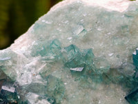 Natural Green Fluorite Cluster Specimens x 2 From Mandrosonoro, Madagascar