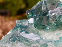 Natural Green Fluorite Cluster Specimens x 2 From Mandrosonoro, Madagascar