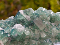 Natural Green Fluorite Cluster Specimens x 2 From Mandrosonoro, Madagascar