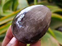 Polished Smokey Quartz Eggs x 6 From Madagascar