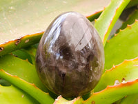 Polished Smokey Quartz Eggs x 6 From Madagascar