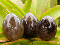 Polished Smokey Quartz Eggs x 6 From Madagascar