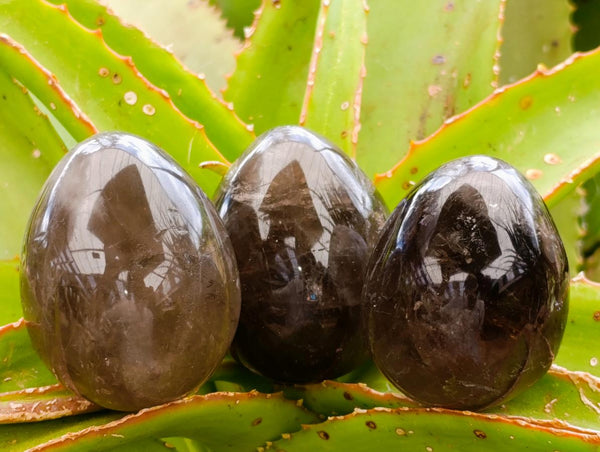 Polished Smokey Quartz Eggs x 6 From Madagascar