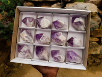 Polished Jacaranda Amethyst Single Crystals x 12 From Mumbwa, Zambia