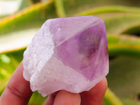 Polished Jacaranda Amethyst Single Crystals x 12 From Mumbwa, Zambia