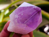 Polished Jacaranda Amethyst Single Crystals x 12 From Mumbwa, Zambia