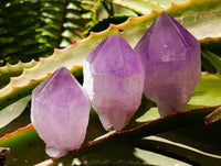 Polished Jacaranda Amethyst Single Crystals x 12 From Mumbwa, Zambia